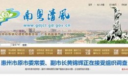 惠州清风网最新爆料消息,揭秘惠州某重大事件内幕